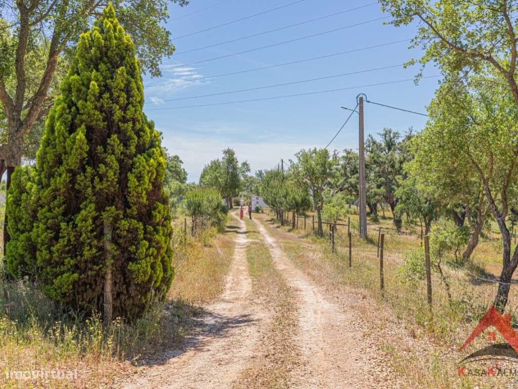 HERDADE COM 18,7 HA | TURISMO AGRICULTURA ENERGIA SOLAR-26