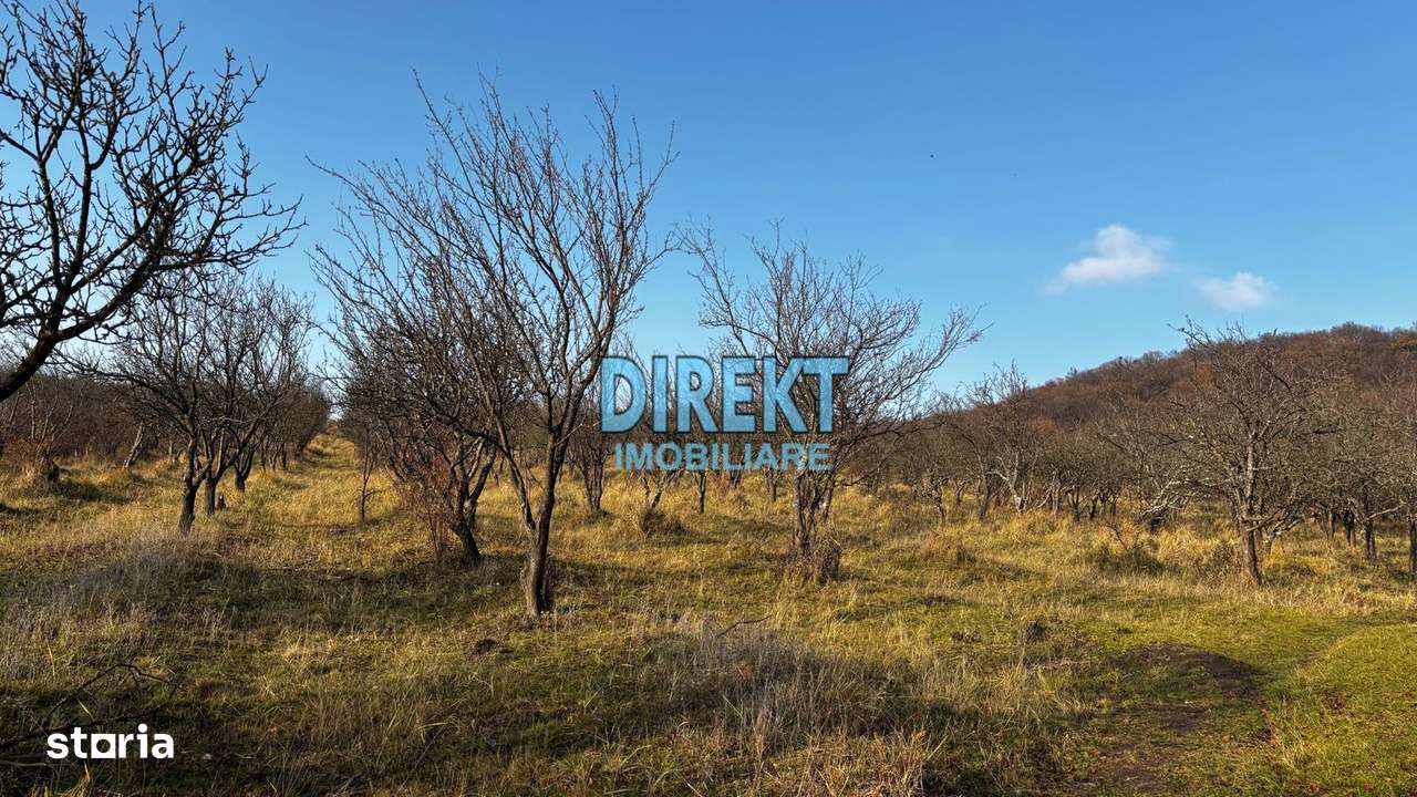 Teren extravilan Subcetate-1