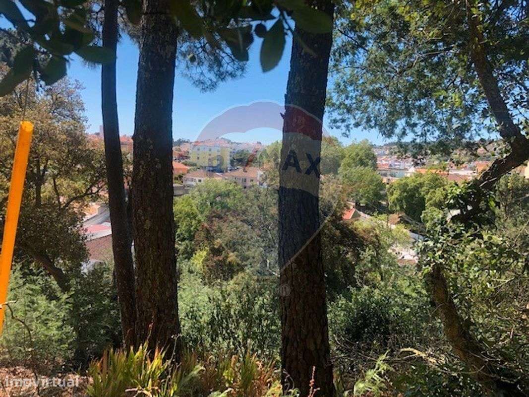 Terreno  para venda - Grande imagem: 5/16