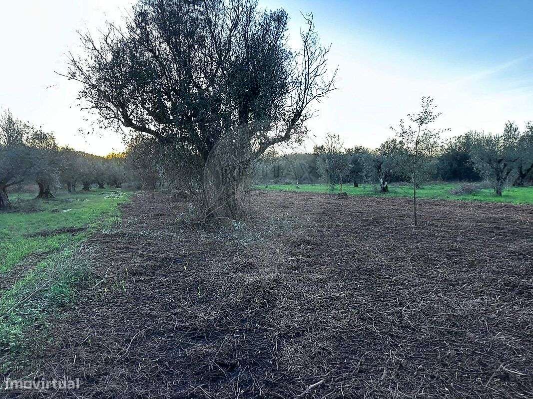 Terreno  para venda - Grande imagem: 4/14