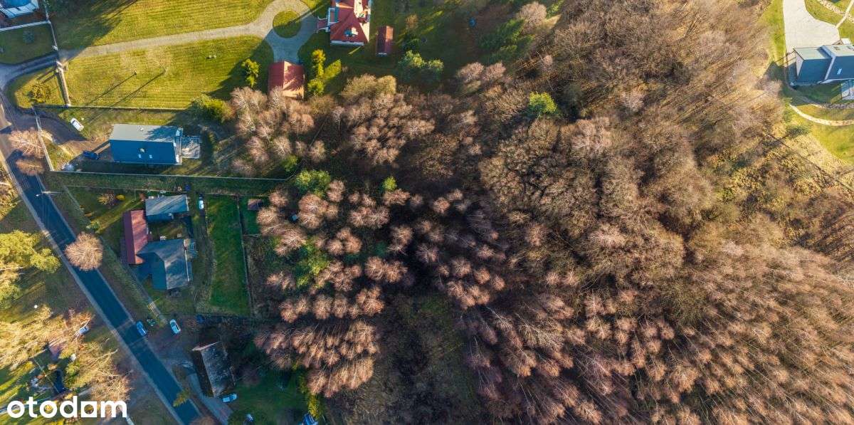 Działka budowlana z własnymi skałkami Jurajskimi - Pełny obrazek: 5/13