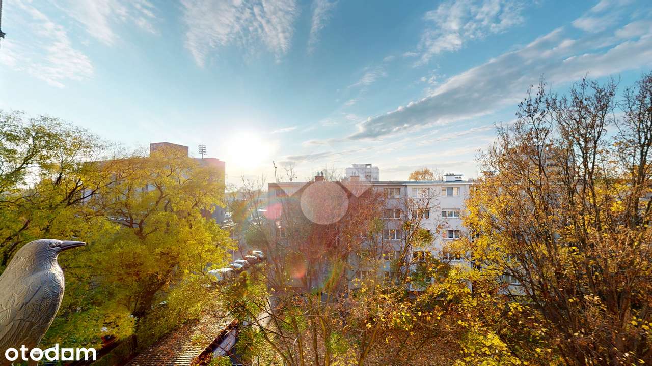 Zielona okolica | Jasna kuchnia| Balkon-15