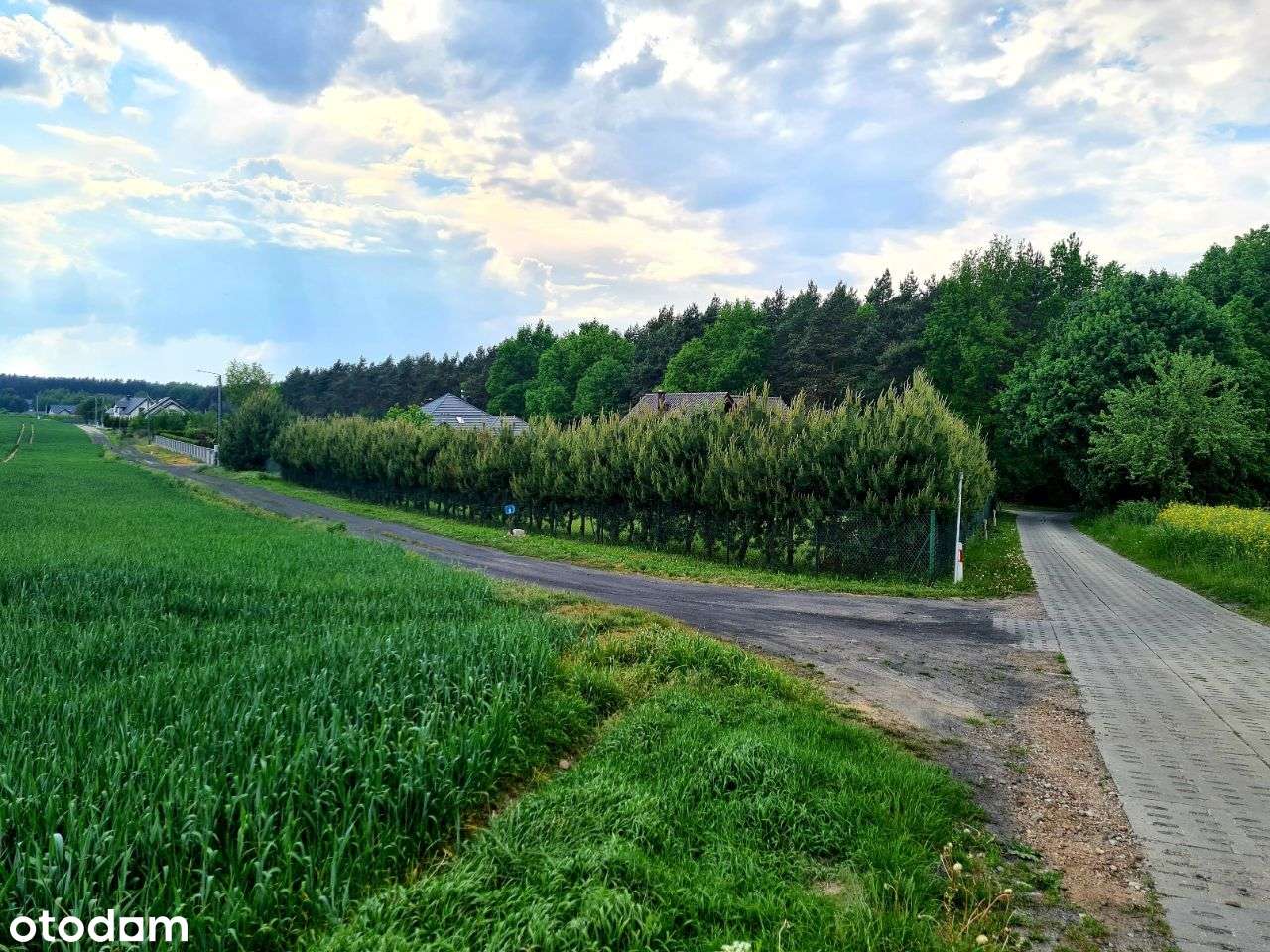 Działka na Zajezierzu - Pełny obrazek: 5/6
