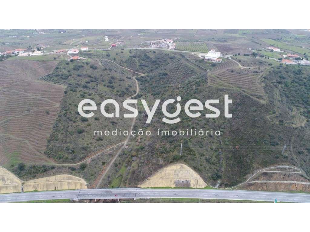 Terreno rústico agrícola com possibilidade de construção em Vila No... - Grande imagem: 2/4