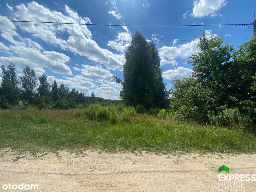 Działka przy alejce brzozowej w Białowieży - Pełny obrazek: 4/4