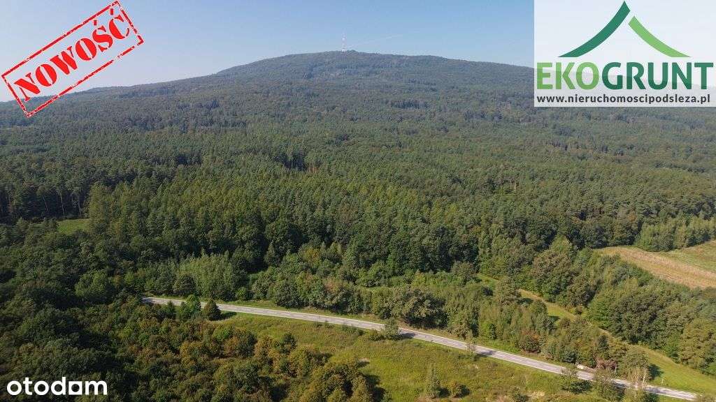 Działka rolno-leśna pod lesem Będkowice-0