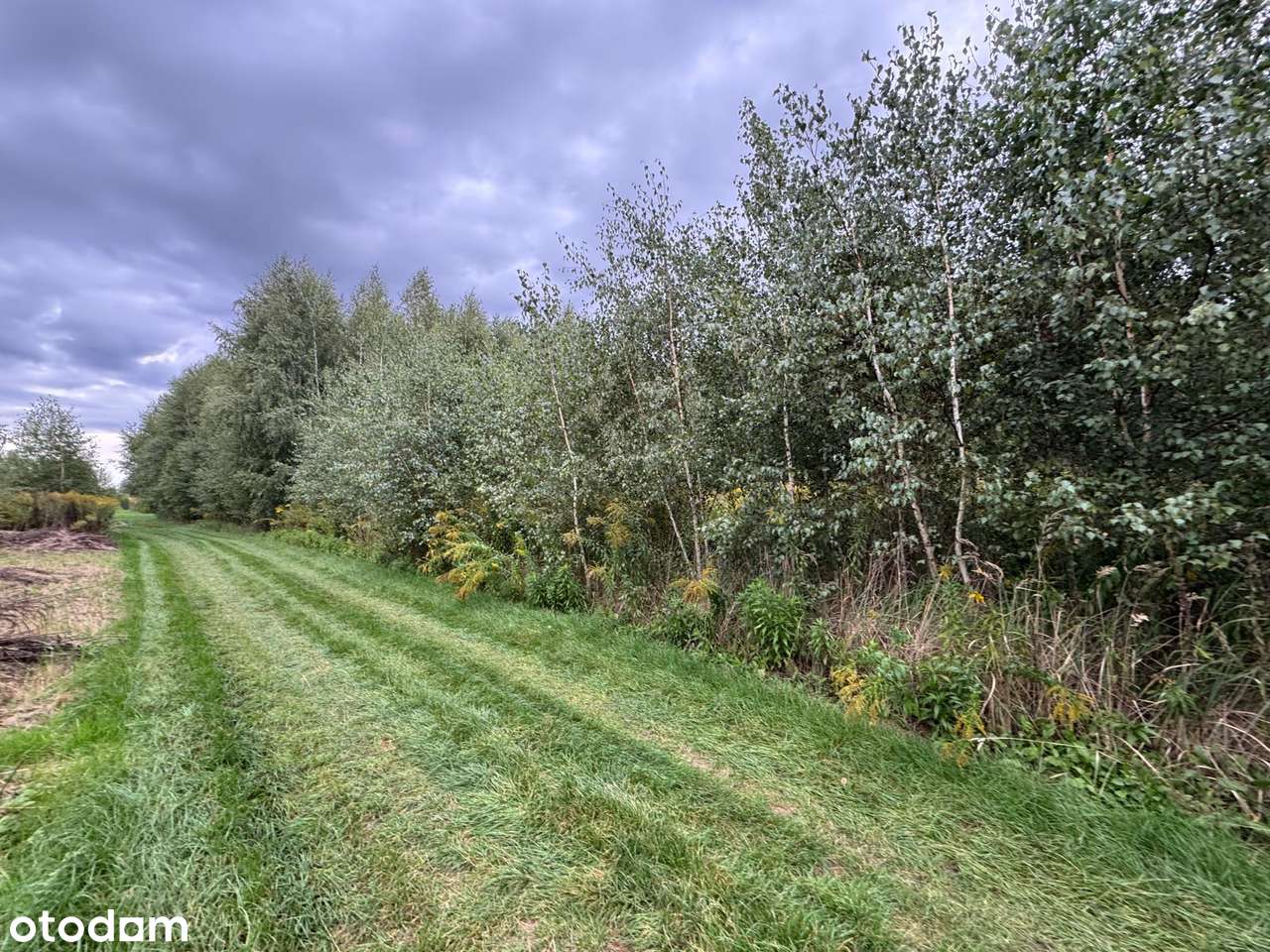 Dachowa | Dwie działki budowlane, łacznie  1552 m² z MPZP-9