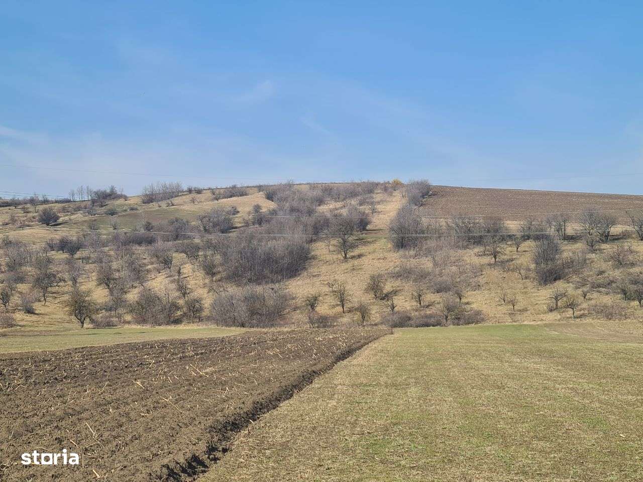 Teren extravilan 4000 mp , com. Magiresti - Bacau - Imagine principală: 4/5