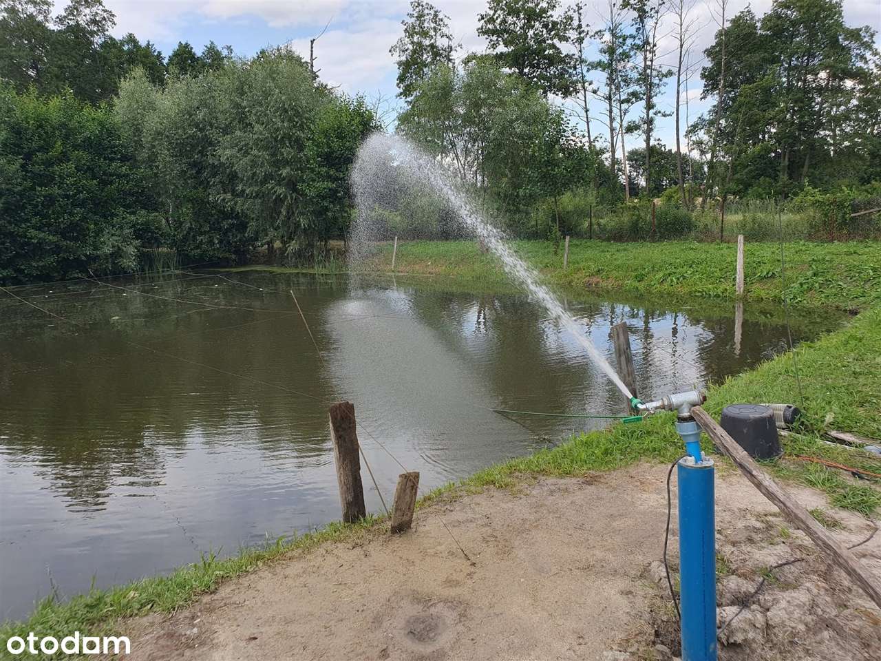 Okazja! DOM Siedlisko Budynki Gosp SAD Staw ok 1h-12