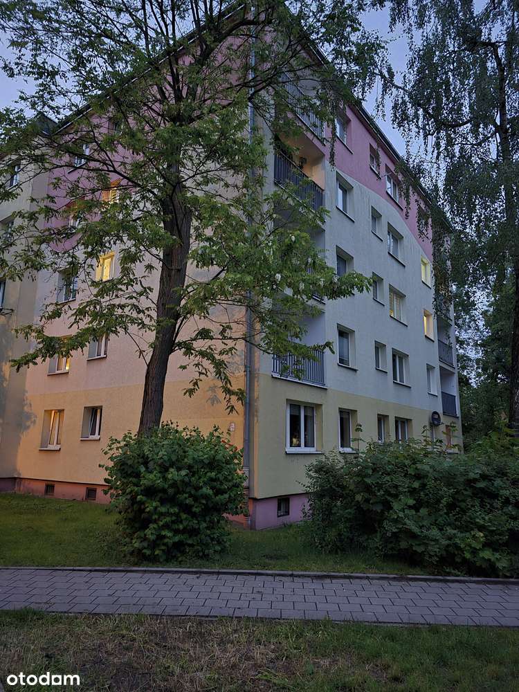 REZERWACJA Sprzedam SUPER kawalerkę - Łódź Bałuty ul. Kniaziewicza - Pełny obrazek: 1/20