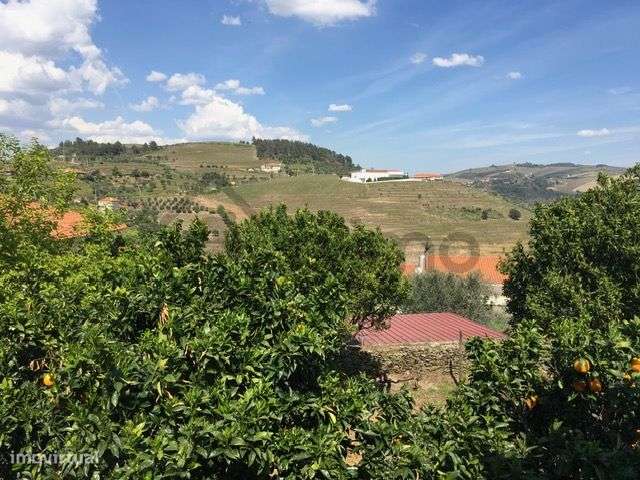 Casa com Terreno em Vilarinho de Cotas, Douro-17