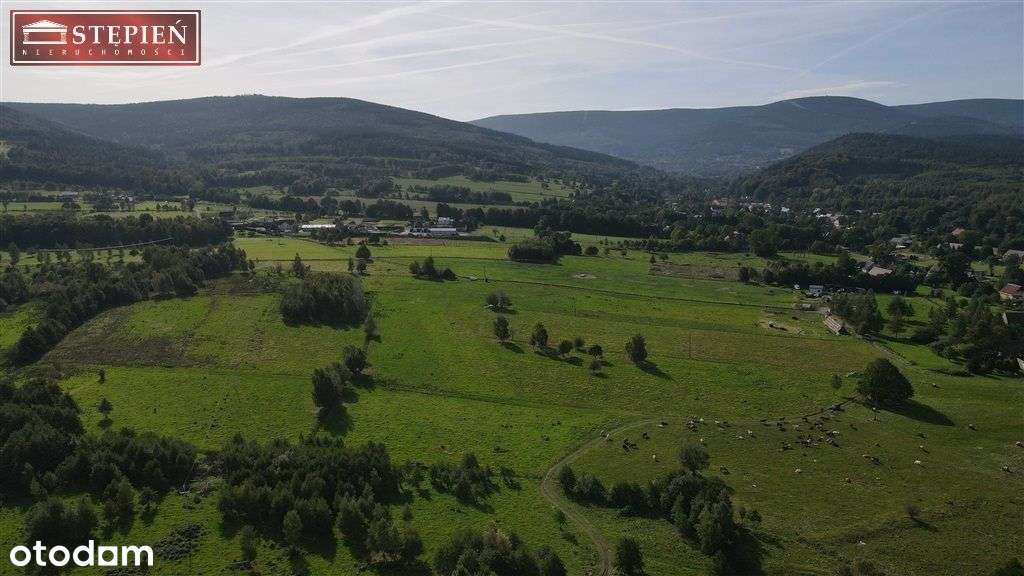 Działka, 2 894 m², Krobica - Pełny obrazek: 4/12