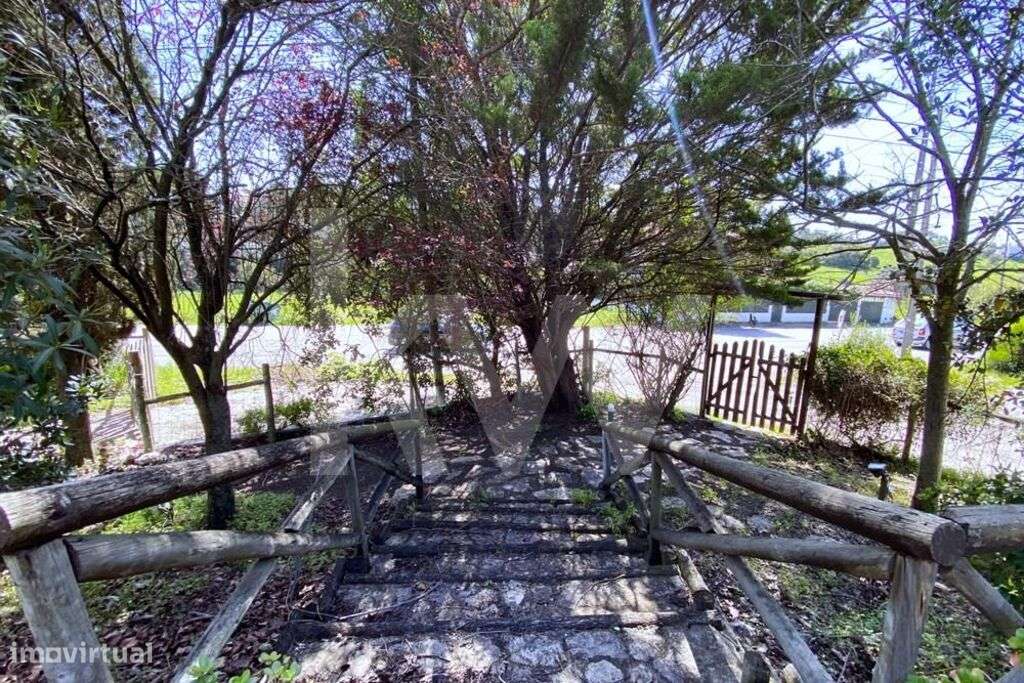 Quinta na Serra da Arrábida em Setúbal - Grande imagem: 4/47