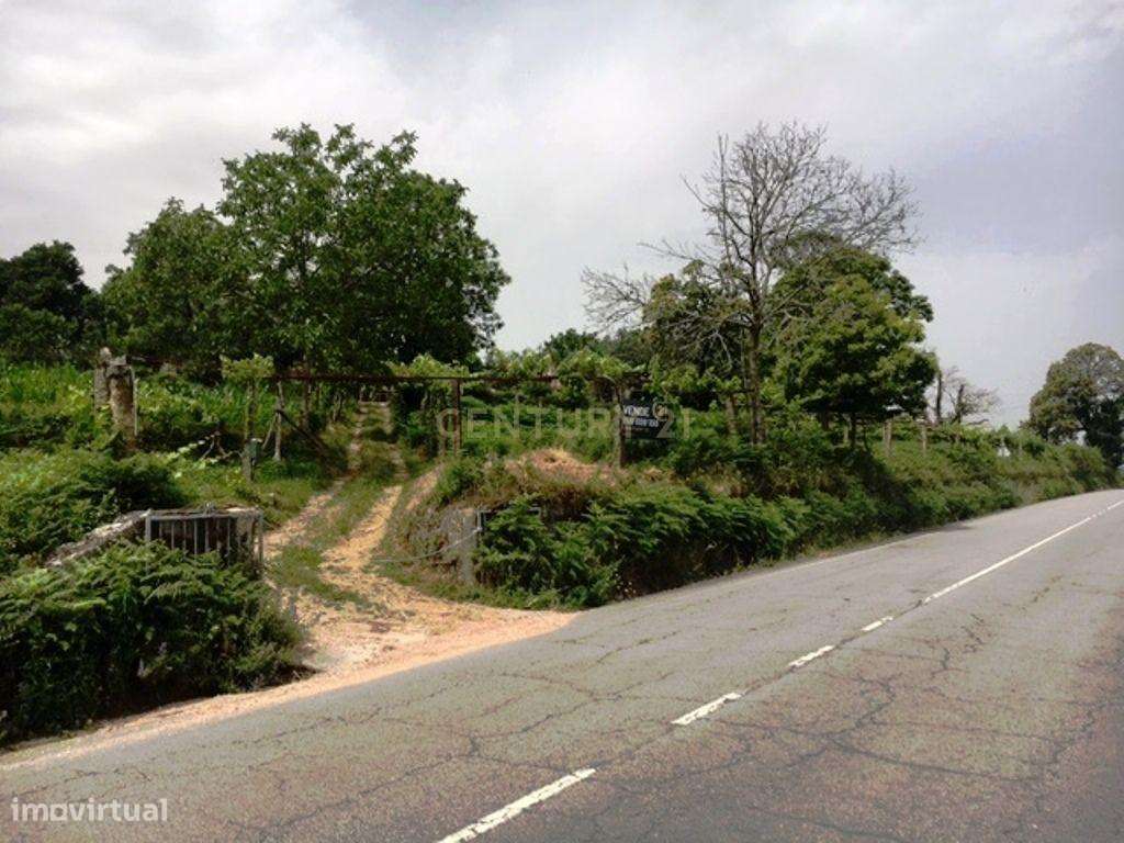 Quinta Gemieira, Ponte de Lima - Grande imagem: 2/16