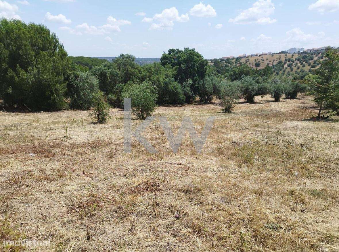 Terreno em Montargil com projecto de moradia - Grande imagem: 5/17