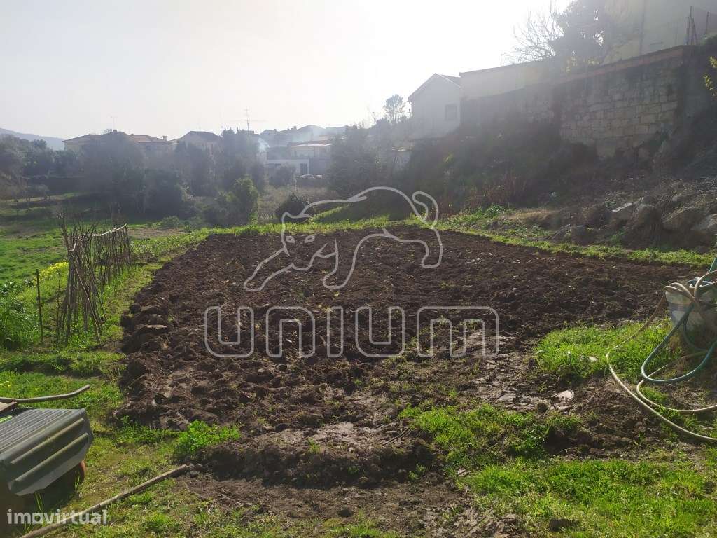 Terreno Cardielos - Grande imagem: 4/6