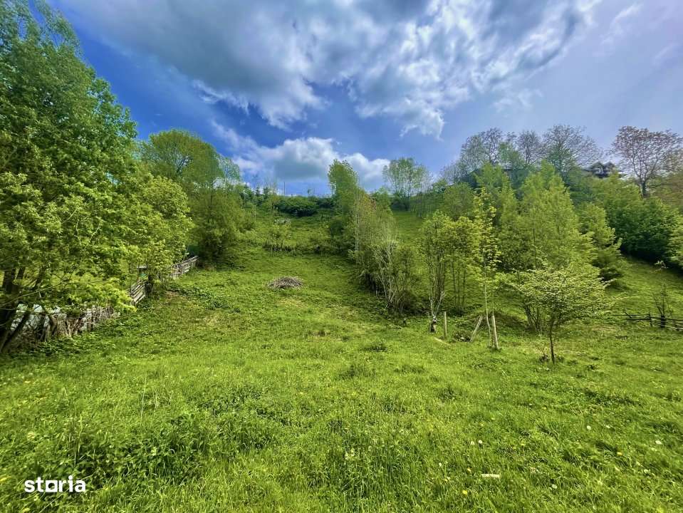 Teren intravilan Traisteni 839 mp, toate avizele - Imagine principală: 2/3