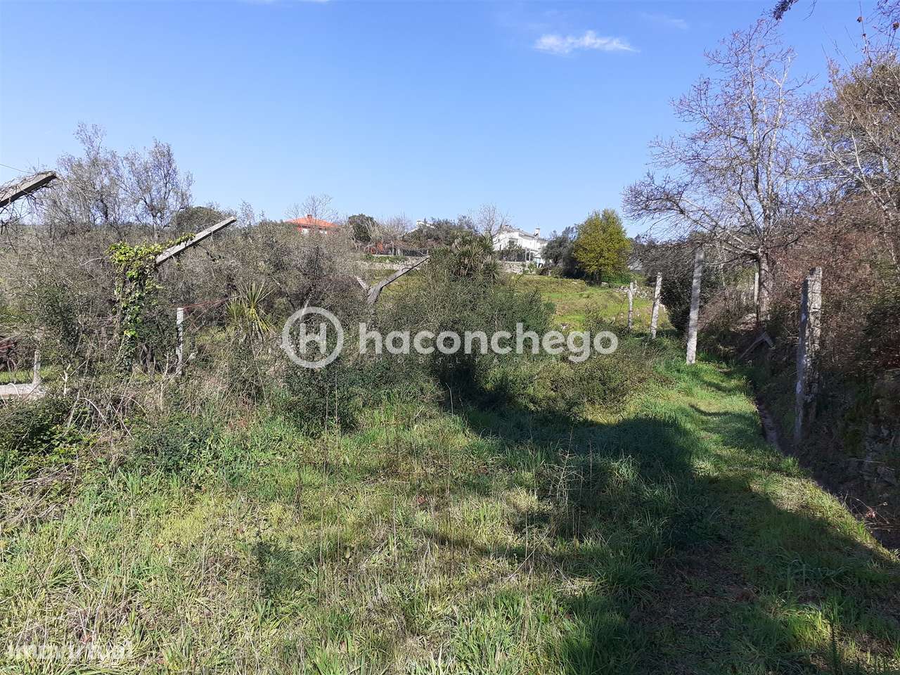 Terreno agricola Alvito São Pedro Barcelos-4