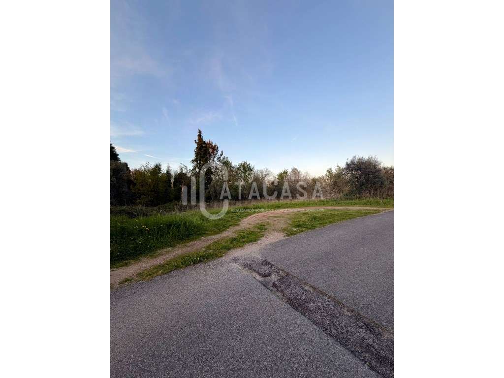 Terreno para construção na Forcada Aguada de Cima - Grande imagem: 5/9