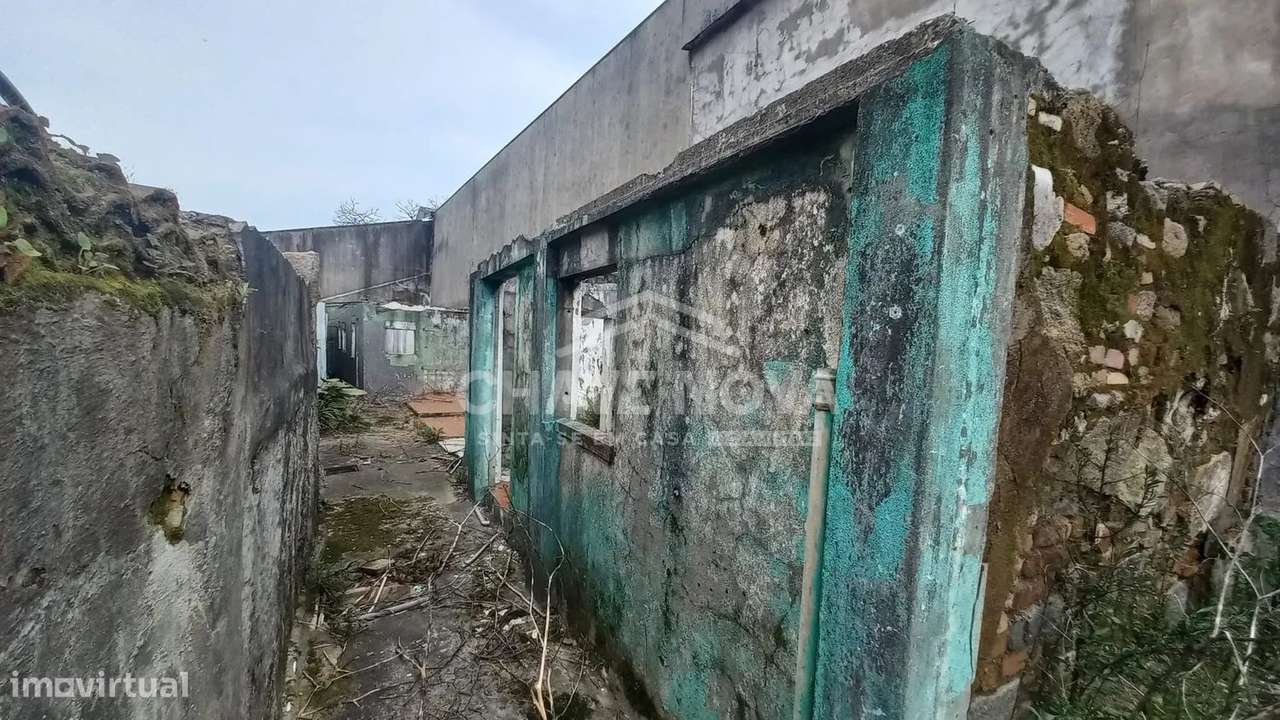 Ilha com 7 casas | Oliveira do Douro - Grande imagem: 3/11