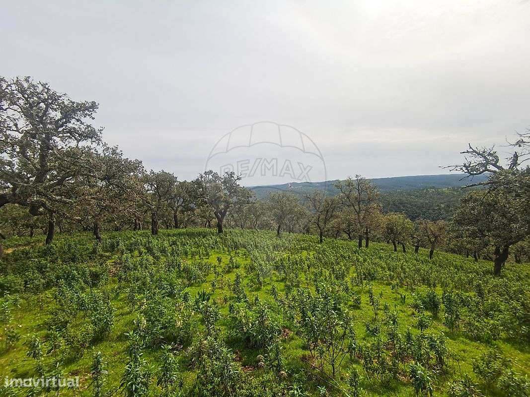 Terreno  para venda - Grande imagem: 5/23