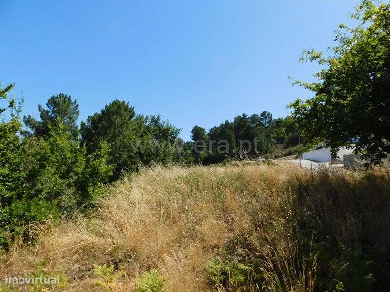 Lote / Seia, Seia, São Romão e Lapa dos Dinheiros - Grande imagem: 4/9