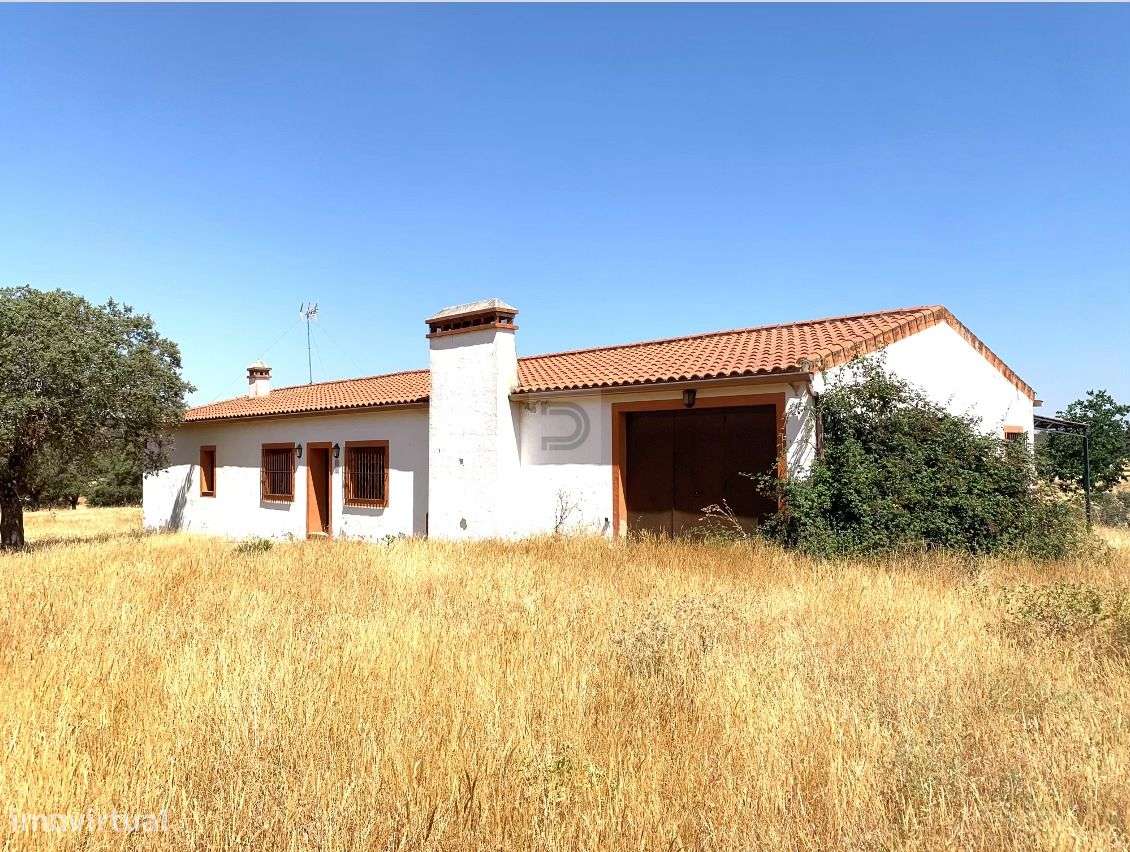 Herdade do Castelo Novo-10