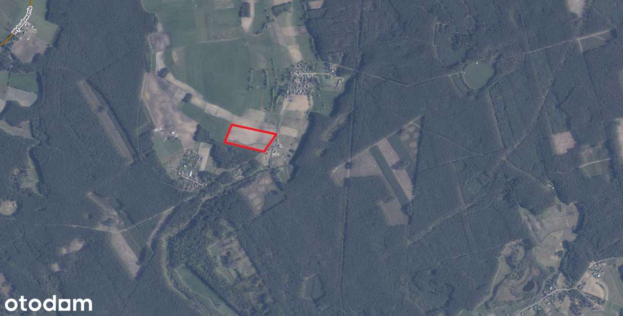 Duża piękna działka budowlana. Bory Tucholskie. Promocyjna cena! - Pełny obrazek: 5/20