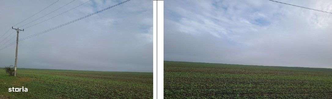 Teren extravilan Orbeasca, ID: R2836912-10