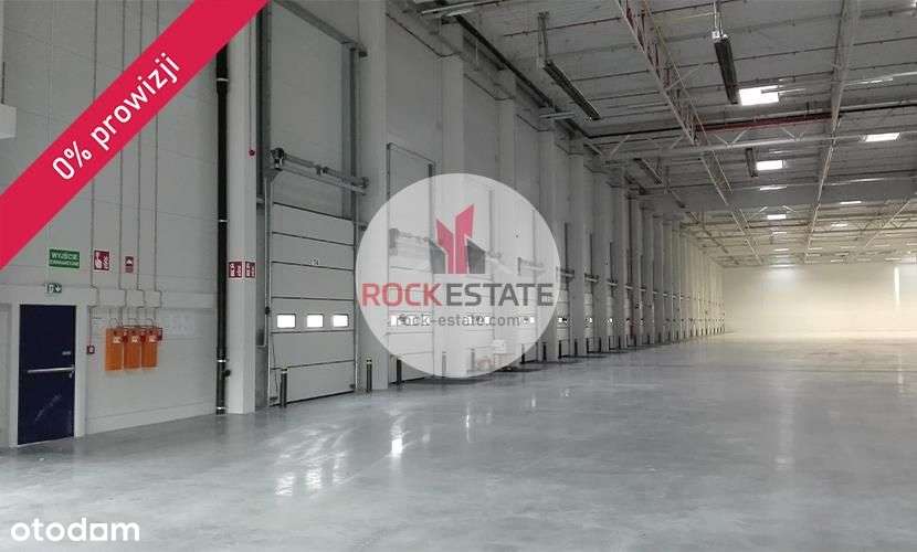 Magazyn na wynajem 3,2 tyś m2 od zaraz - 0% prowiz - Pełny obrazek: 5/5