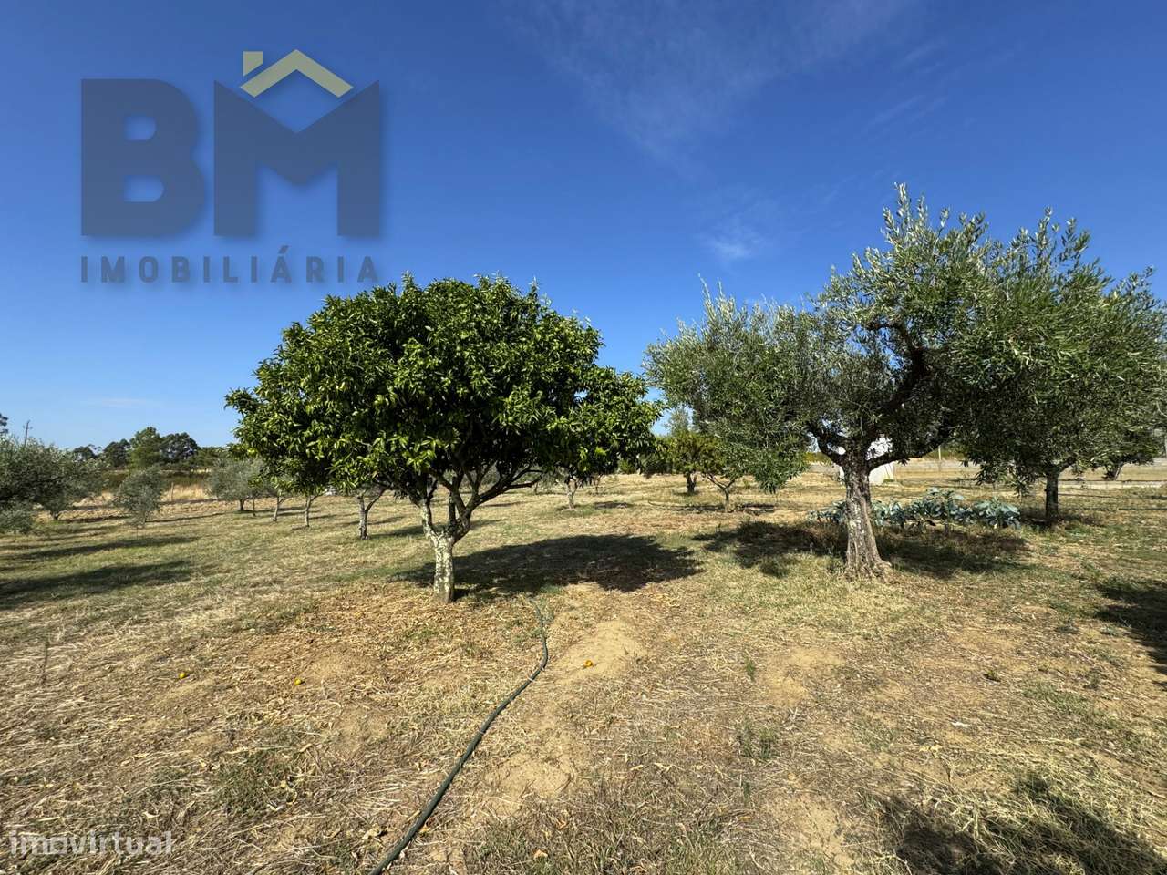 Quintinha  Venda em Cebolais de Cima e Retaxo,Castelo Branco-17