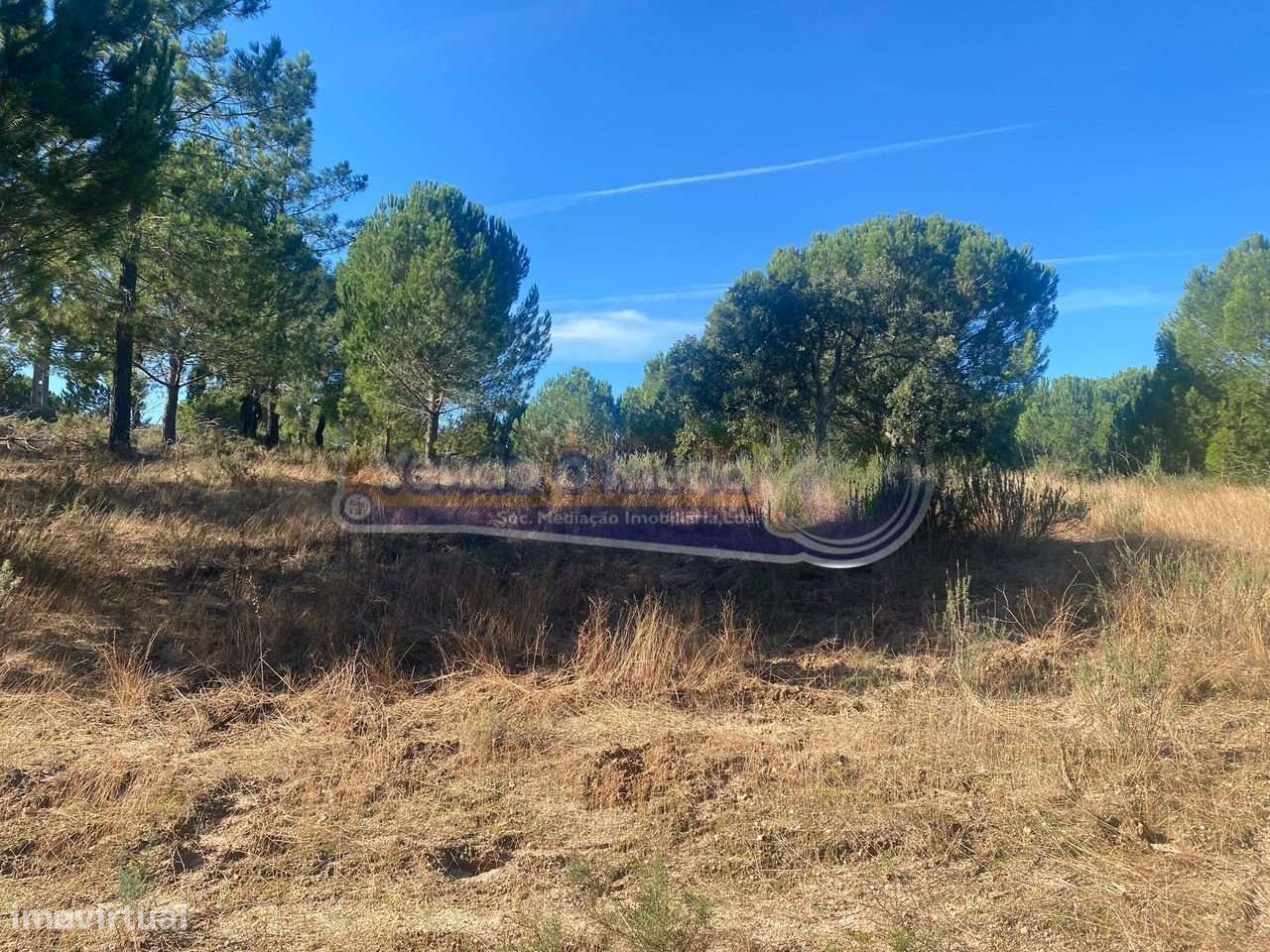 Terreno em Montargil (MTG002)-5