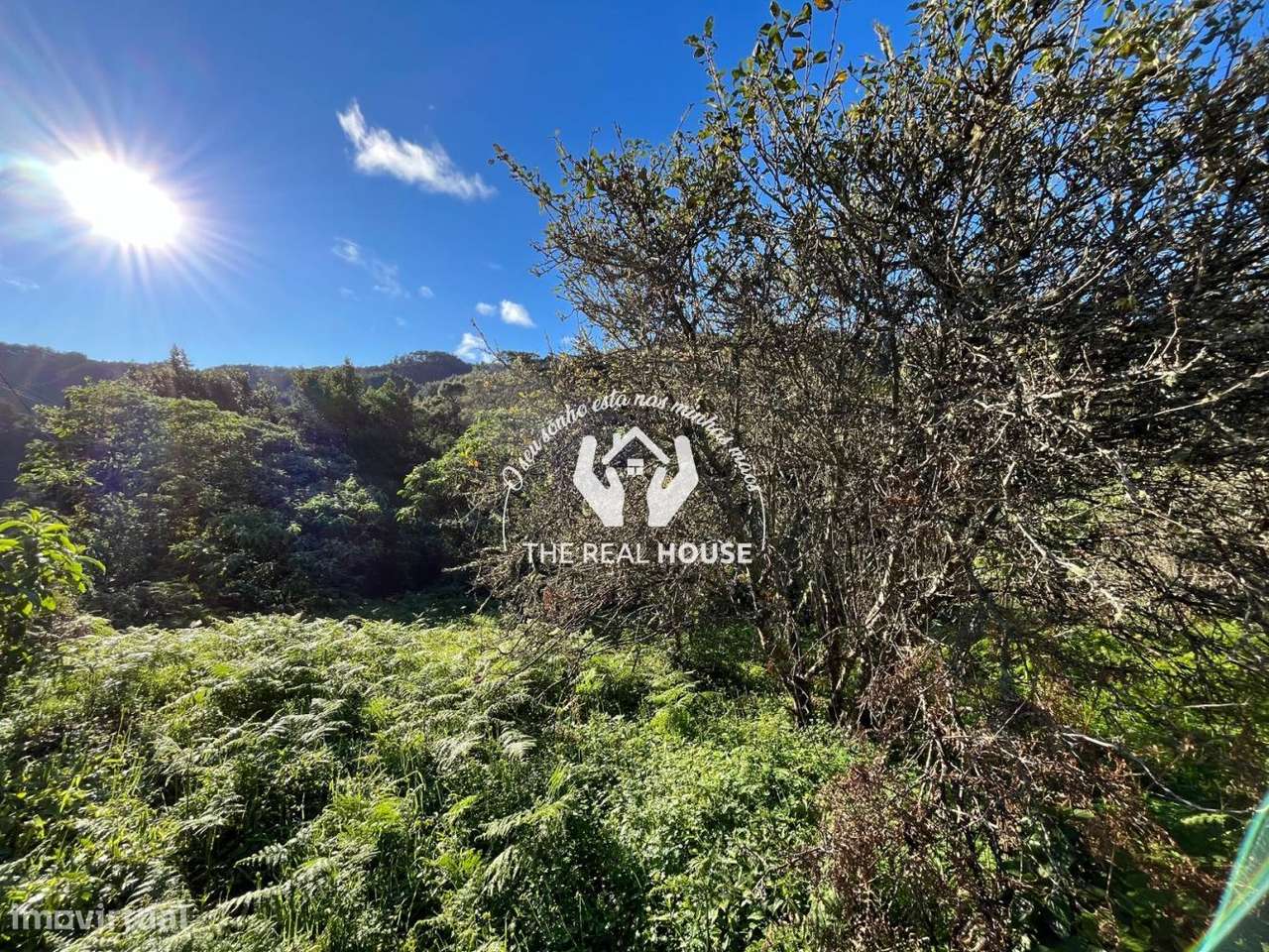 Terreno Rústico em Santo António da Serra - Grande imagem: 2/14