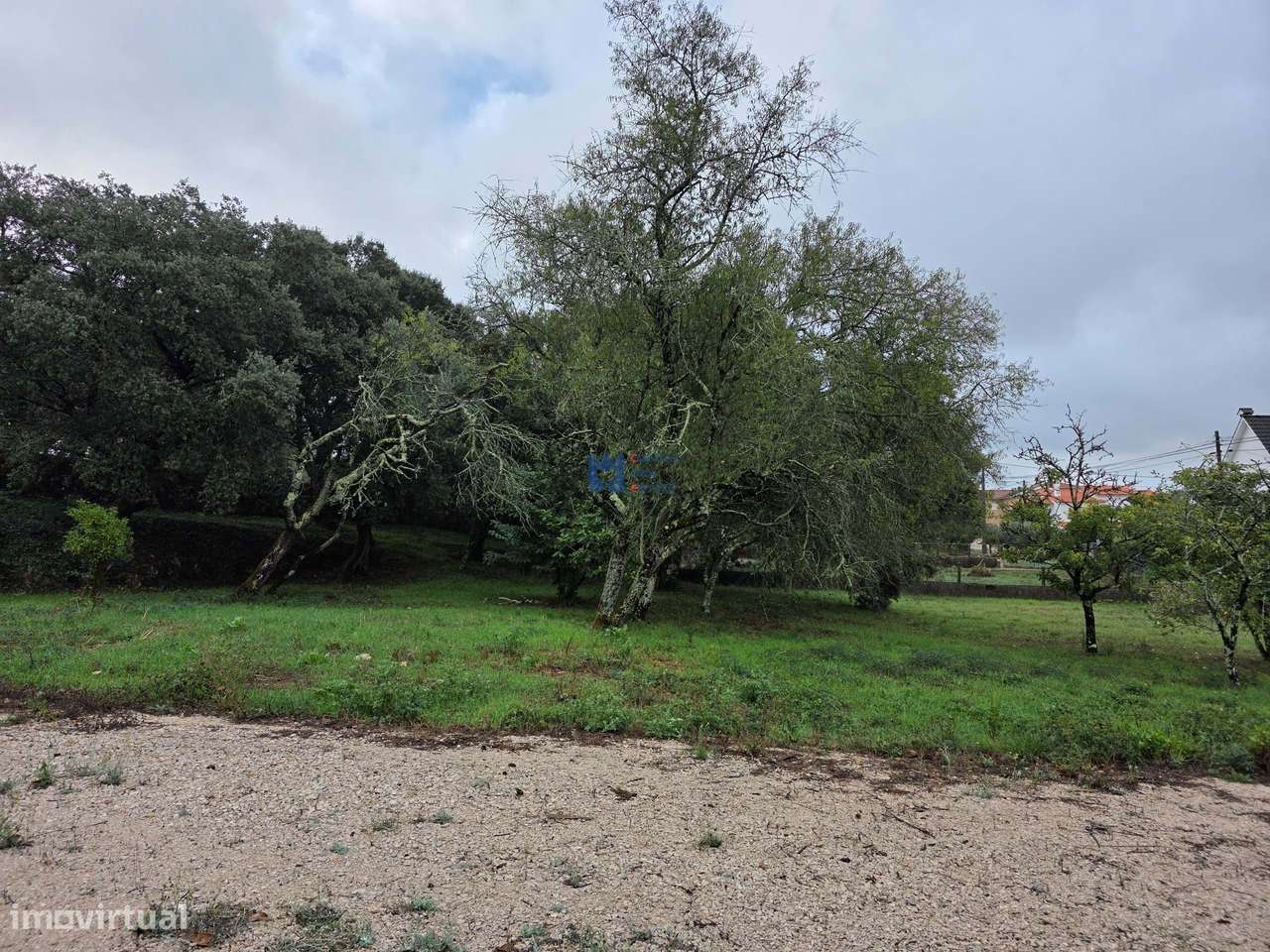 Lotes de Terreno para Construção em Fátima-29