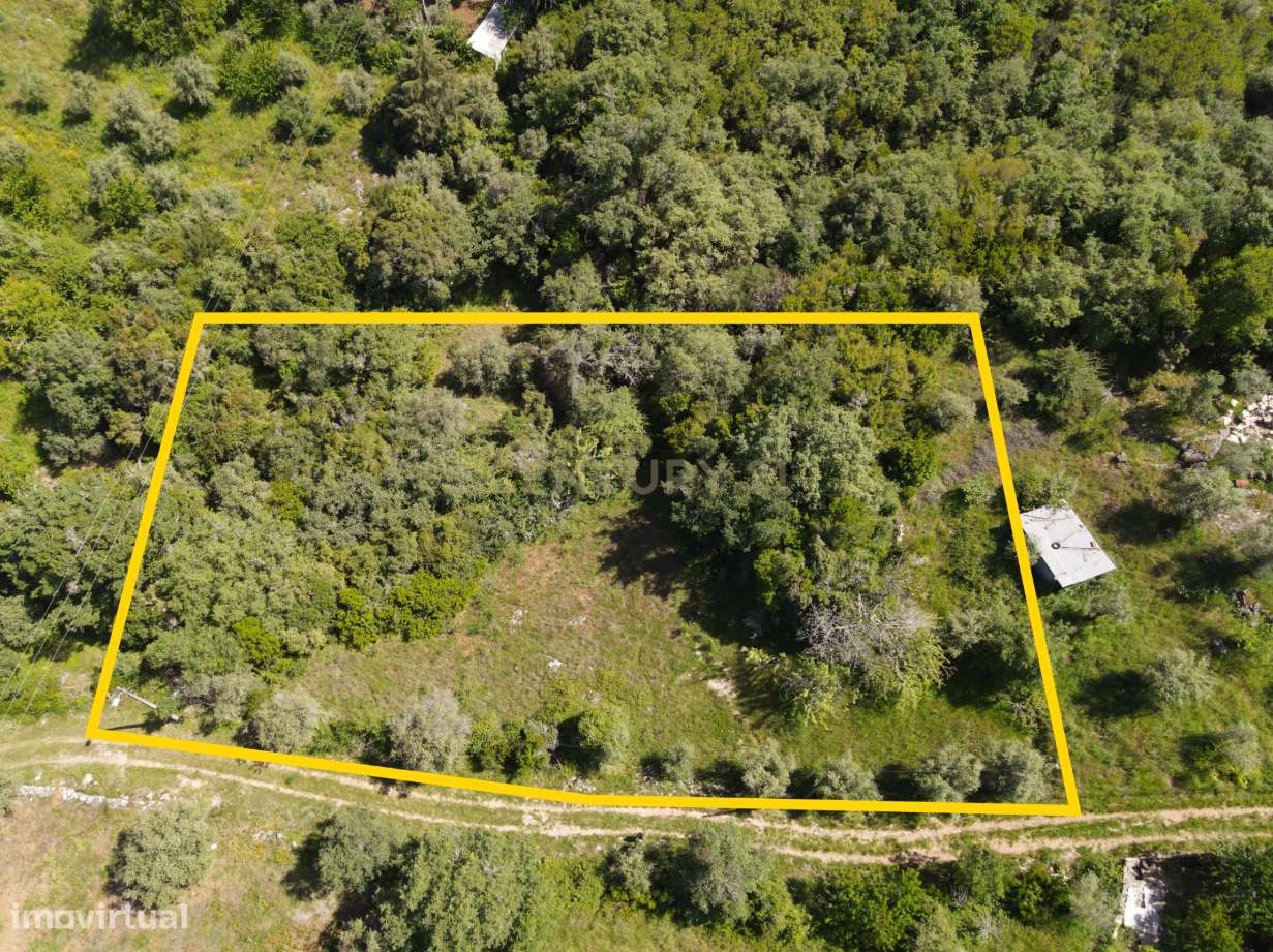 Casa de pedra com terreno junto de riacho - Penela - Grande imagem: 5/12