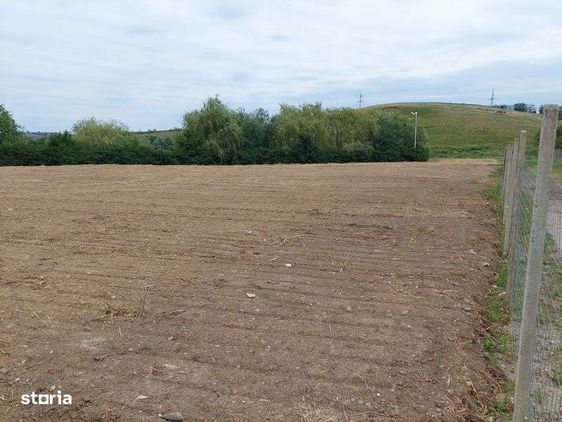 Ofer spre inchiriere teren intravilan 4000 m2 - Imagine principală: 5/7