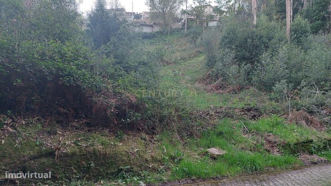 Terreno Rustico em Crestuma, Vila Nova de Gaia-5