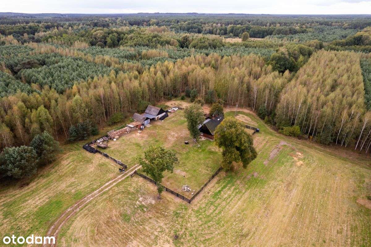 Siedlisko w m. Boruja Nowa-12