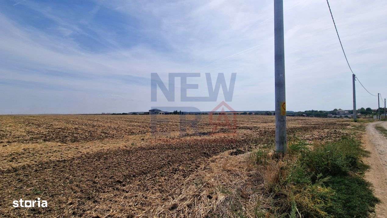 Teren de vanzare de 11.068 mp extravilan arabil in zona Belciugatele - - Imagine principală: 2/6