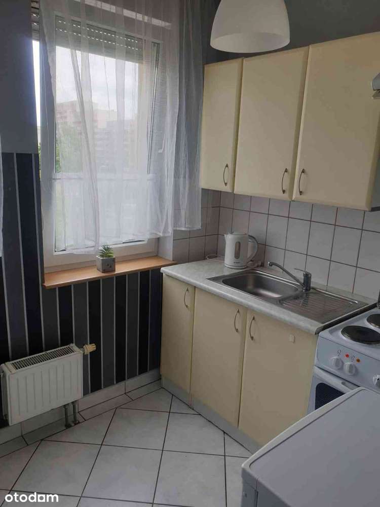 Kawalerka z osobną kuchnią ul. Piławska GAJ z bakonem - Pełny obrazek: 5/10