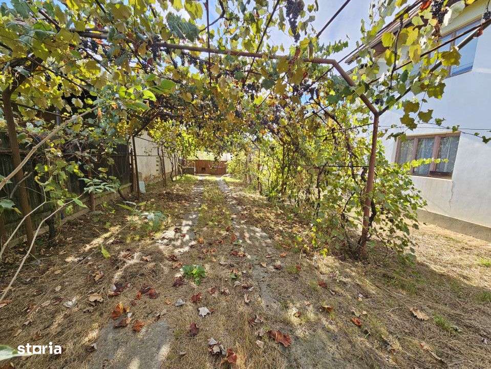 Vanzare casa P+1, in comuna Danesti, la 10 km distanta de Tg. Jiu - Imagine principală: 2/10