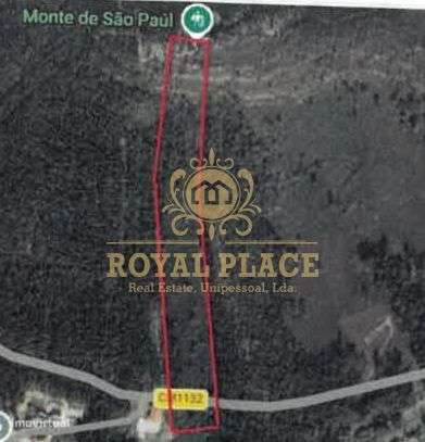 Terreno com 19.200m2, Santa Maria de Sardoura - Grande imagem: 2/12