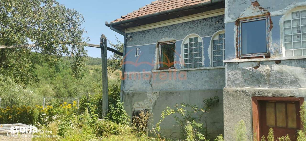 De vanzare casa si grajd +3000m² teren livada in Sumurducu - Sanpaul - Imagine principală: 4/20