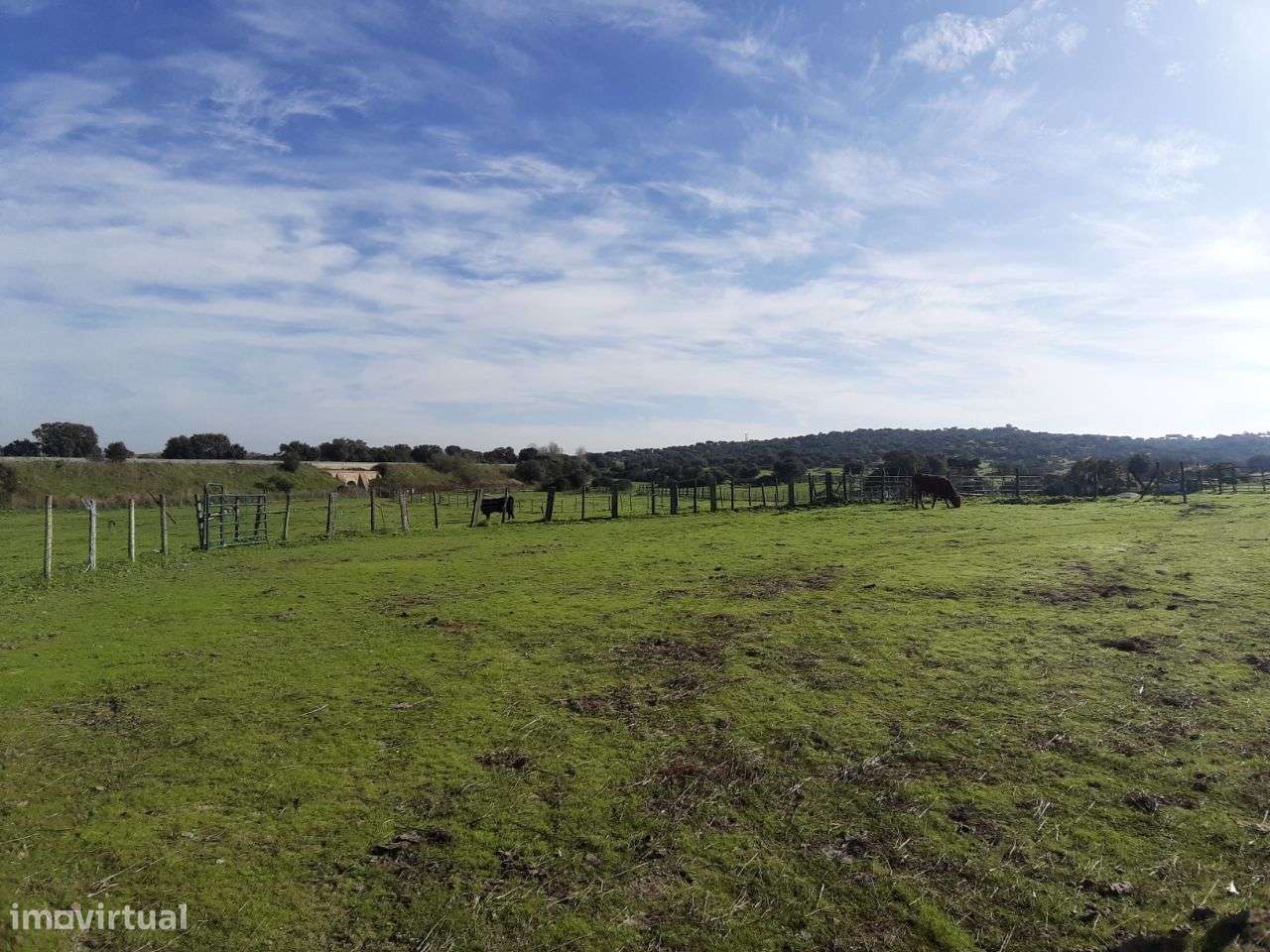 VENDA JUDICIAL I ARMAZÉM com terreno de 1.65 HECT-9