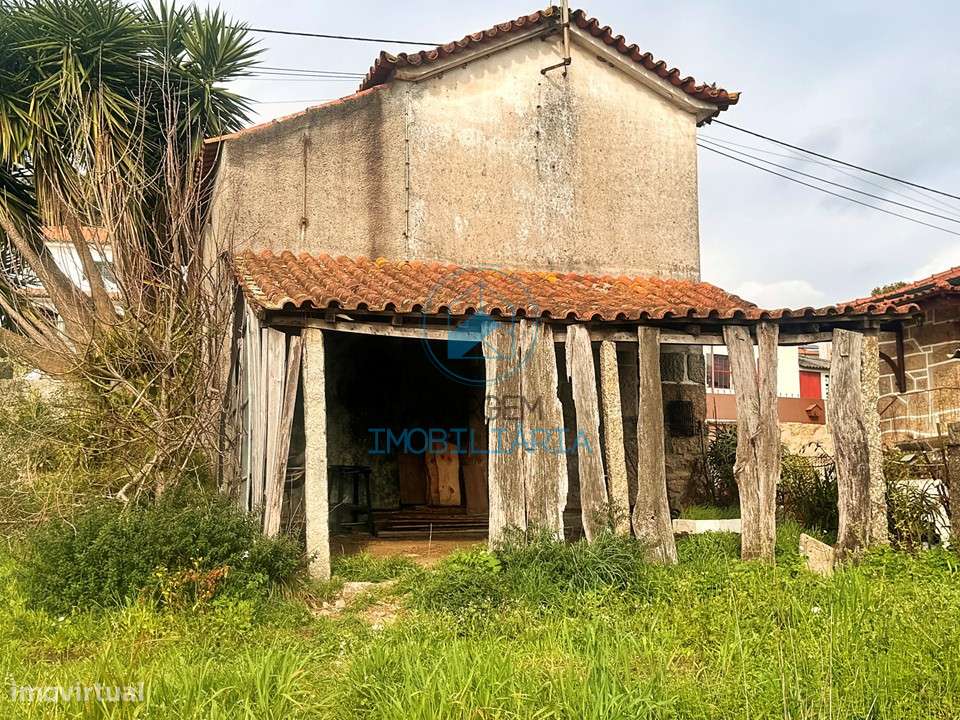 Terreno construção e cultivo – 6000m2 c/moradia devoluta-25