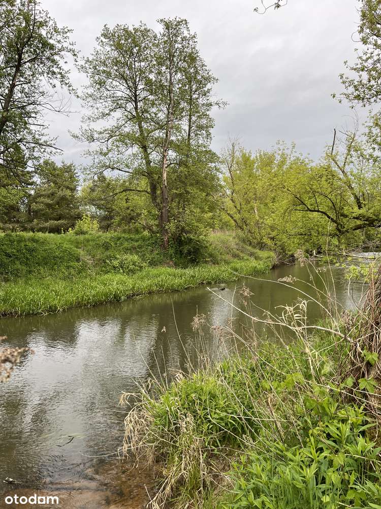 Malownicza działka z linią brzegową Świdra-1