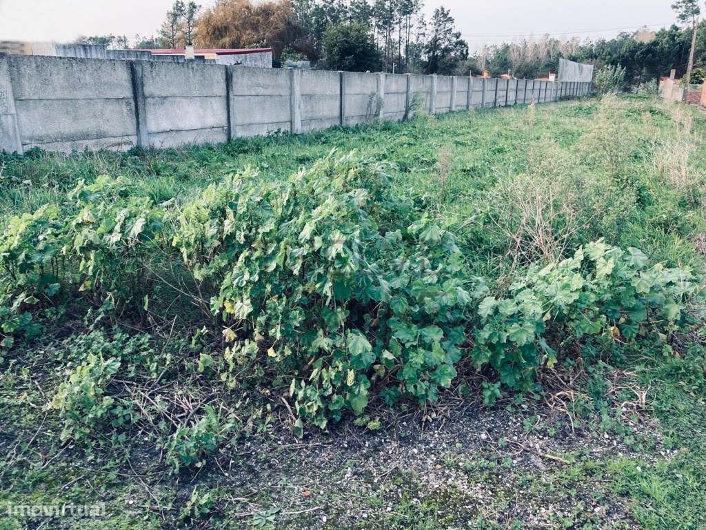 Terreno para construção de 2 moradias individuais com autorização p...-1