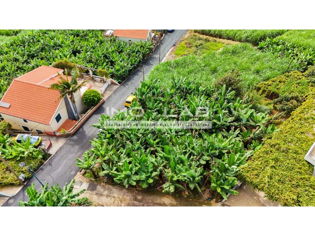 Terreno com 430m2 - Ponta do Sol-14