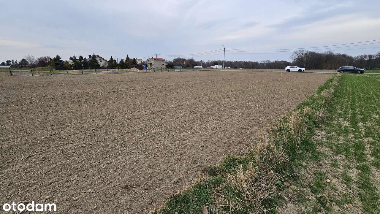 Spokojna okolica domków jednorodzinnych