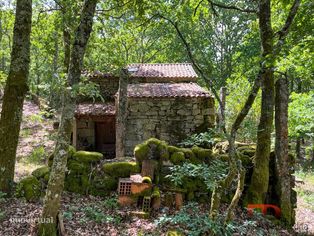 Quintinha T2 Venda em Cambra e Carvalhal de Vermilhas,Vouzela - Grande imagem: 3/33